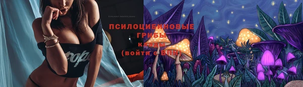 гидра Верея