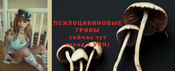 spice Верхний Тагил