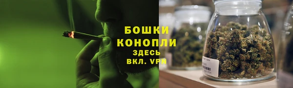 гидра Верея