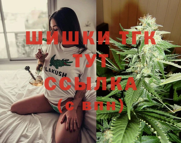 spice Верхний Тагил
