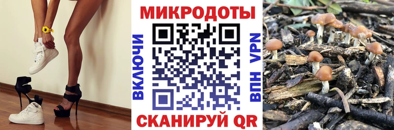 где купить наркоту  Южно-Сахалинск  Псилоцибиновые грибы Psilocybine cubensis 